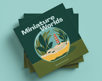 Miniature Worlds