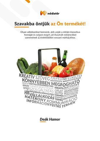 Transversum Company Graphic Design