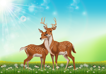 Wild Love