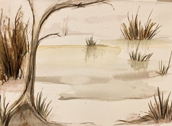 Winter scene ( Maggie Donnelly)