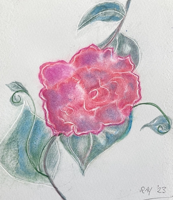 Bloom (Ray Muna)