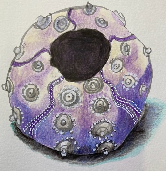 Sea Creature (Margaret Woodley)
