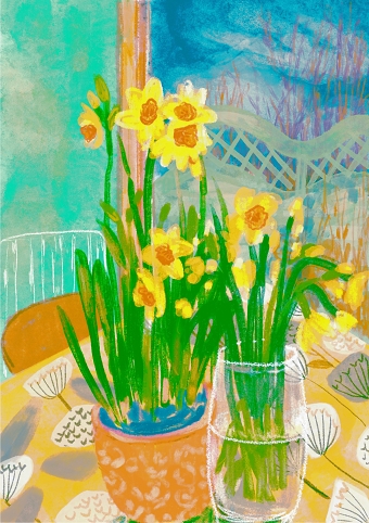 Narcissus