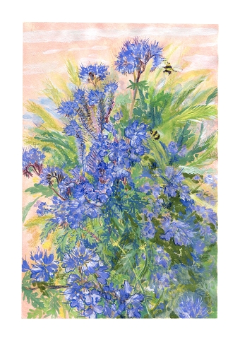 Wild flowers next to the road