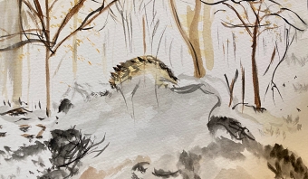Tonal Scene (Shafia Syed)