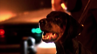 Moments from Movetron Music Video