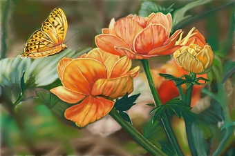 Flowers and Butterfly