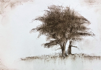 Monochrome (Maggie Donnelly)