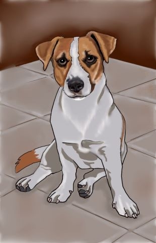 Stylized dog illustrations
