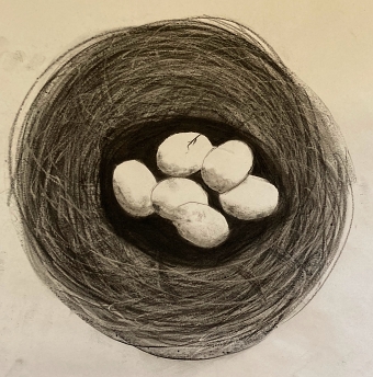 Nest ( Priya Dutti)