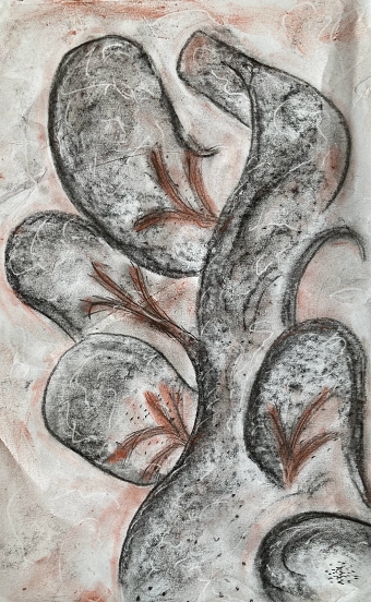 Charcoal ( Razia Antria)