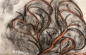 Charcoal (Veronica Hawkins)