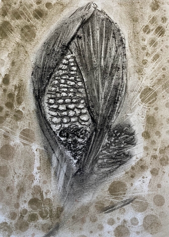Charcoal (Anita Shah)