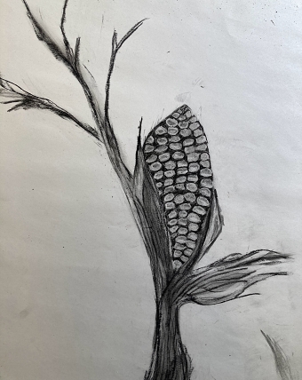 Charcoal (Caroline Armitage)