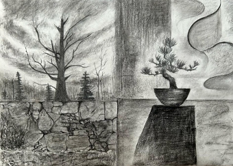 Charcoal project (Kinuyo Ogino)