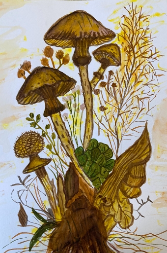 Fungi (Razia Antria)