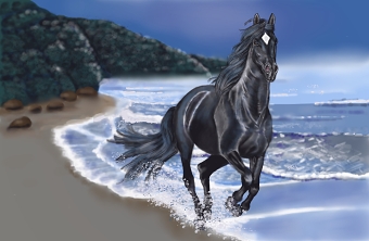 Horses on the beach