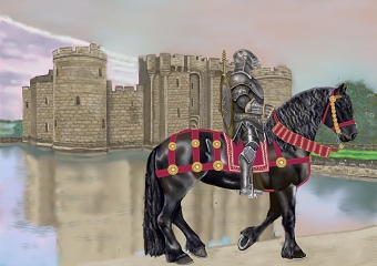 Knights in shining armour