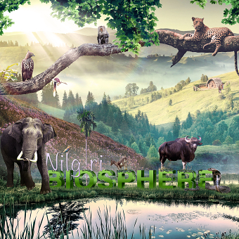 Wildlife-Matte Painting