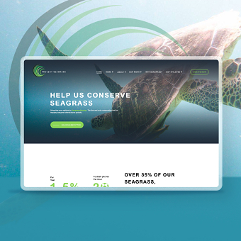Webdesign Redesign & Restructure
