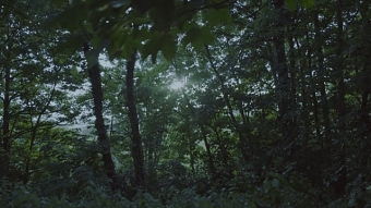 Molton Brown Russian Leather - In My Mind (Director's Cut)
