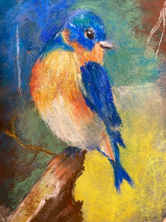 Bluebird (Satomi McHale)