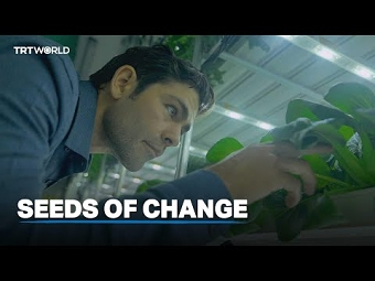 Seeds of Change
