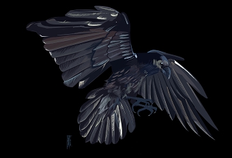 The Raven