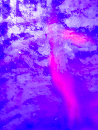 Danse Avec?