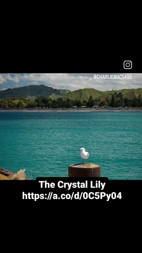 The Crystal Lily  (video)