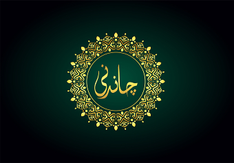 Chandani Logo Design