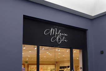 Blu Boutique Detroit Logo and Branding
