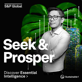 S&P Digital Ad