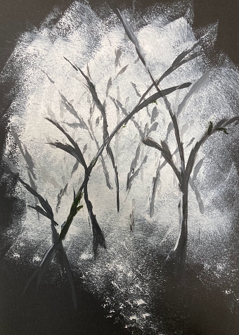 Misty Wood (Maggie Donnelly)