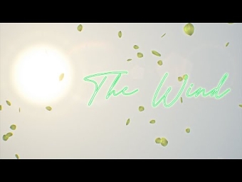 The Wind