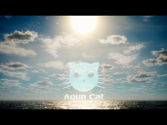 Aqua Cat Intro
