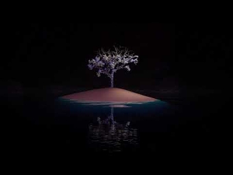 Bloom
