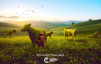 Vegetable Cows