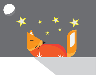 Desert Fox at night
