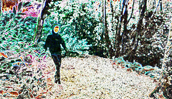 V9 (Glitch)