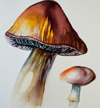 Mushroom