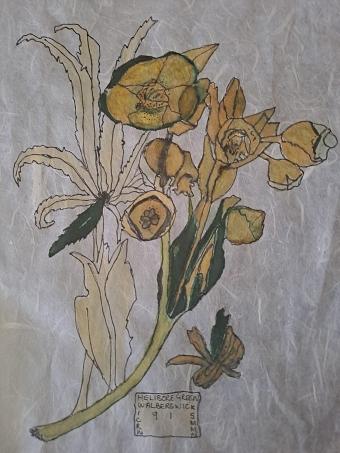Botanicals (Razia Antria)