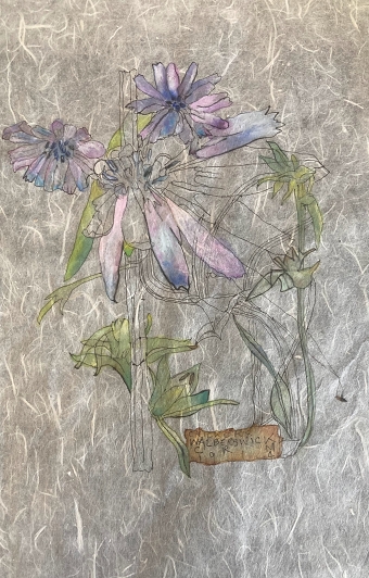 Botanicals (Annick Bianchi)