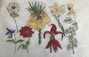 Botanicals (Manjit Sidhu)