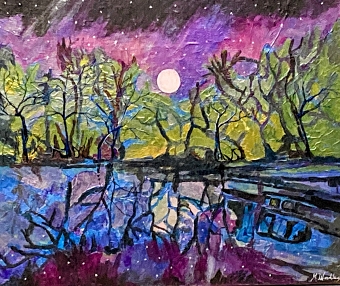Night time Reflections