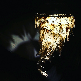 Coffee Light