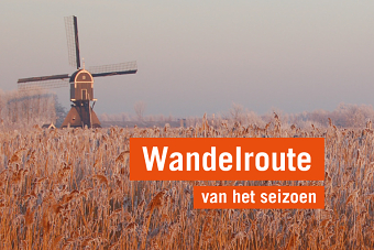 Print media for Zuid-Hollands landscape