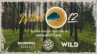 WILD12.org promotional