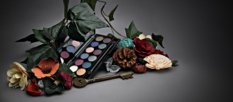Launch Enchanted Forest Eyeshadow Palette Promo