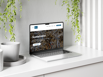 Enava Website Design